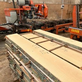 Woodmizer LT70SE25SR AH4-ST 18.5 kW Sawmill for Sale